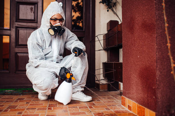 Reliable Ant Control contractor in Robertsville, NJ by Show Me Pest Control